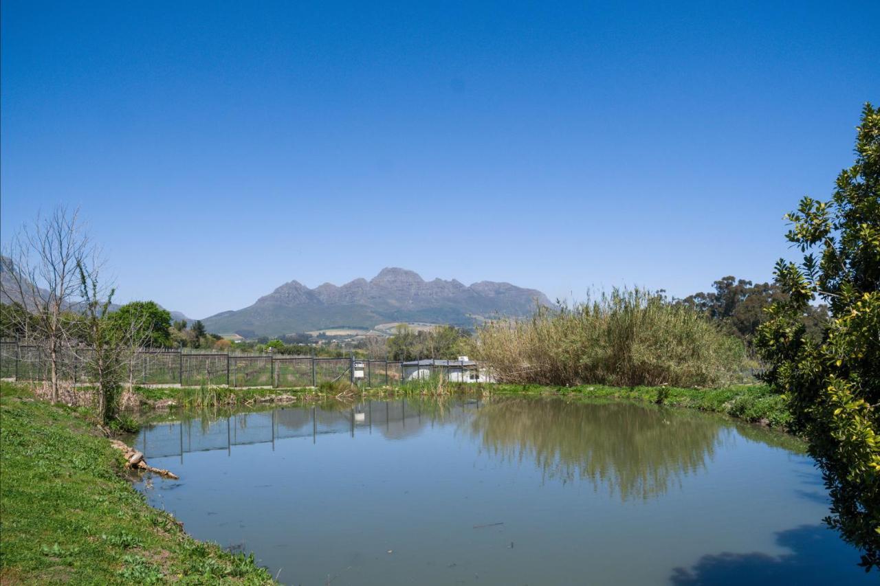 Villa Sunset Farm Municipalità locale di Stellenbosch Esterno foto