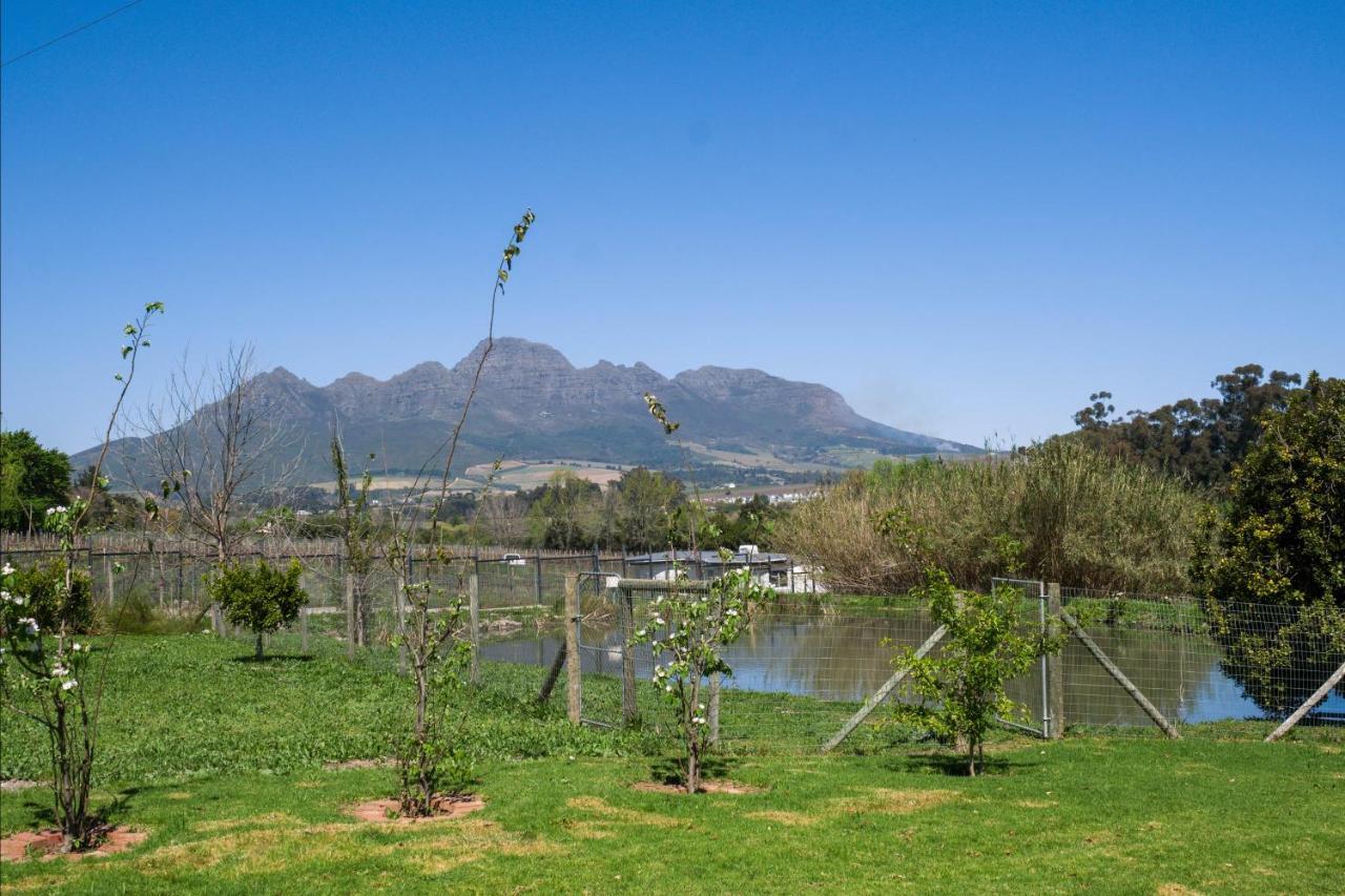 Villa Sunset Farm Municipalità locale di Stellenbosch Esterno foto